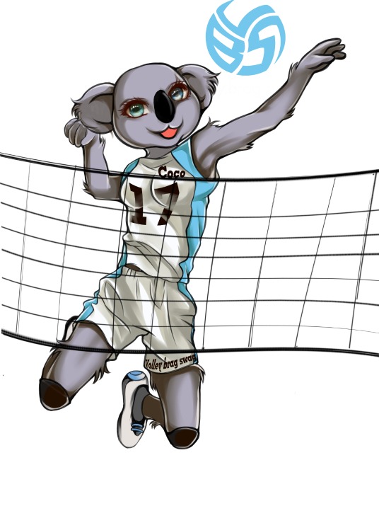 The Volleybragswag koala coloring pages feature Coco the Volleybragswag Koala - Right Side Hitter. Download your koala coloring pages and start coloring today!