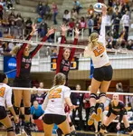 The roof volleyball definition describes the shape of a blocker's hands, arms and shoulders when penetrating the net it looks like the shape a roof on a house. 