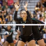 Baylor Bears middle blocker in ready position at the net in defense before the whistle