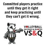 vsqsayingcommittedplayerspractice1000x1000.jpg