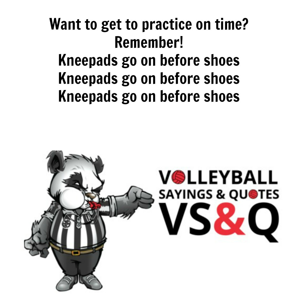 vsqsayingvolleyball sayings kneepads go on before shoes