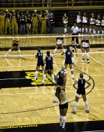 iowa hawkeyes player serving a ball