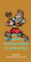 Volleyball Terminology For Defensive Players To Learn Quickly by April Chapple