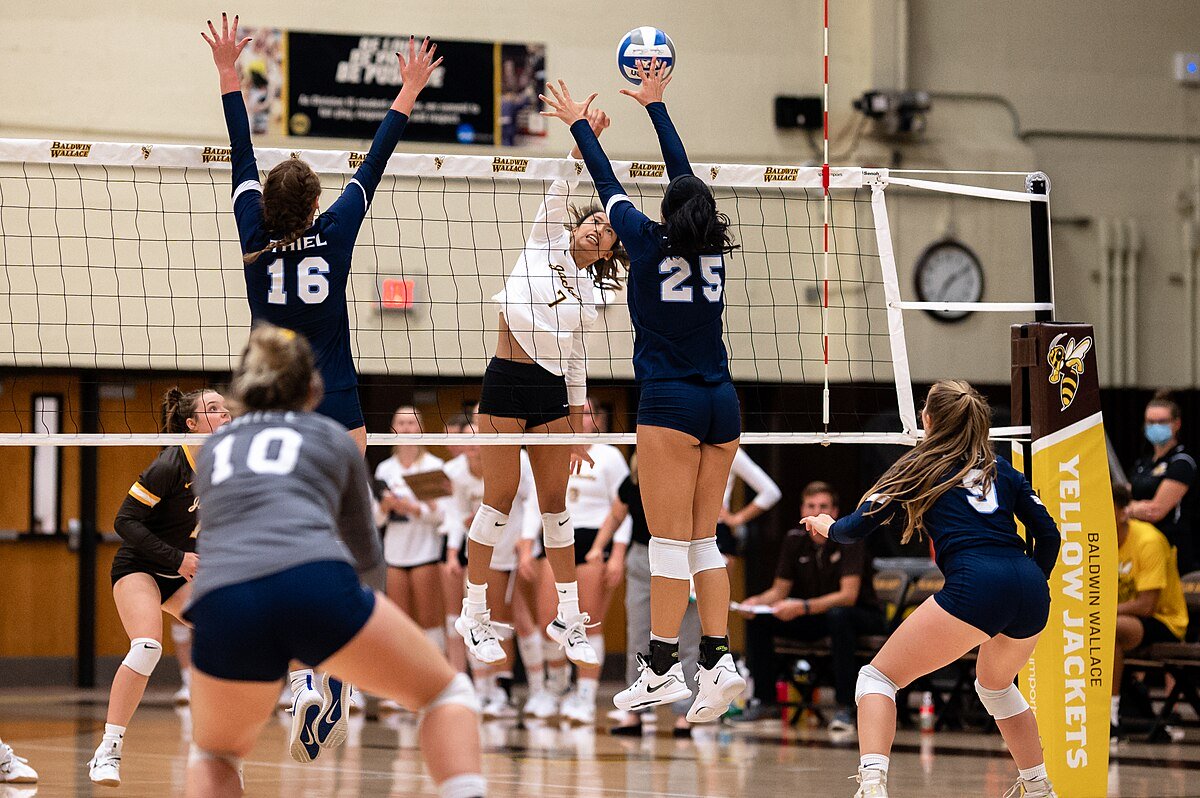 Mom's Guide To Volleyball Defensive Terminology And Back Court Lingo

libero cover the hitter erik drost